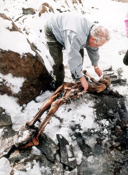 Mummia uomo del Similaun sulle Alpi italiane 1991